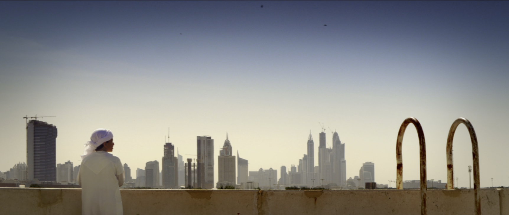 UAE Expo: The Turtle